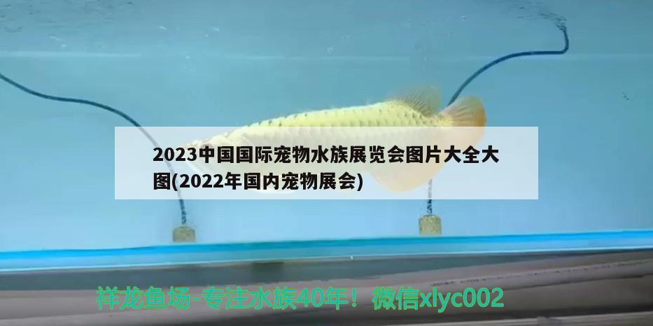 2023中國國際寵物水族展覽會(huì)圖片大全大圖(2022年國內(nèi)寵物展會(huì))