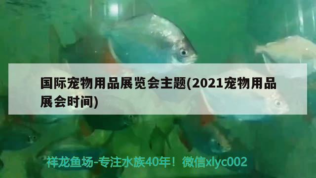 國際寵物用品展覽會主題(2021寵物用品展會時間)