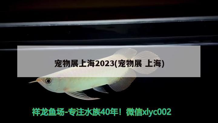 寵物展上海2023(寵物展上海)