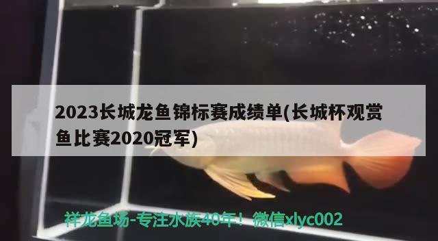 2023長城龍魚錦標(biāo)賽成績單(長城杯觀賞魚比賽2020冠軍)