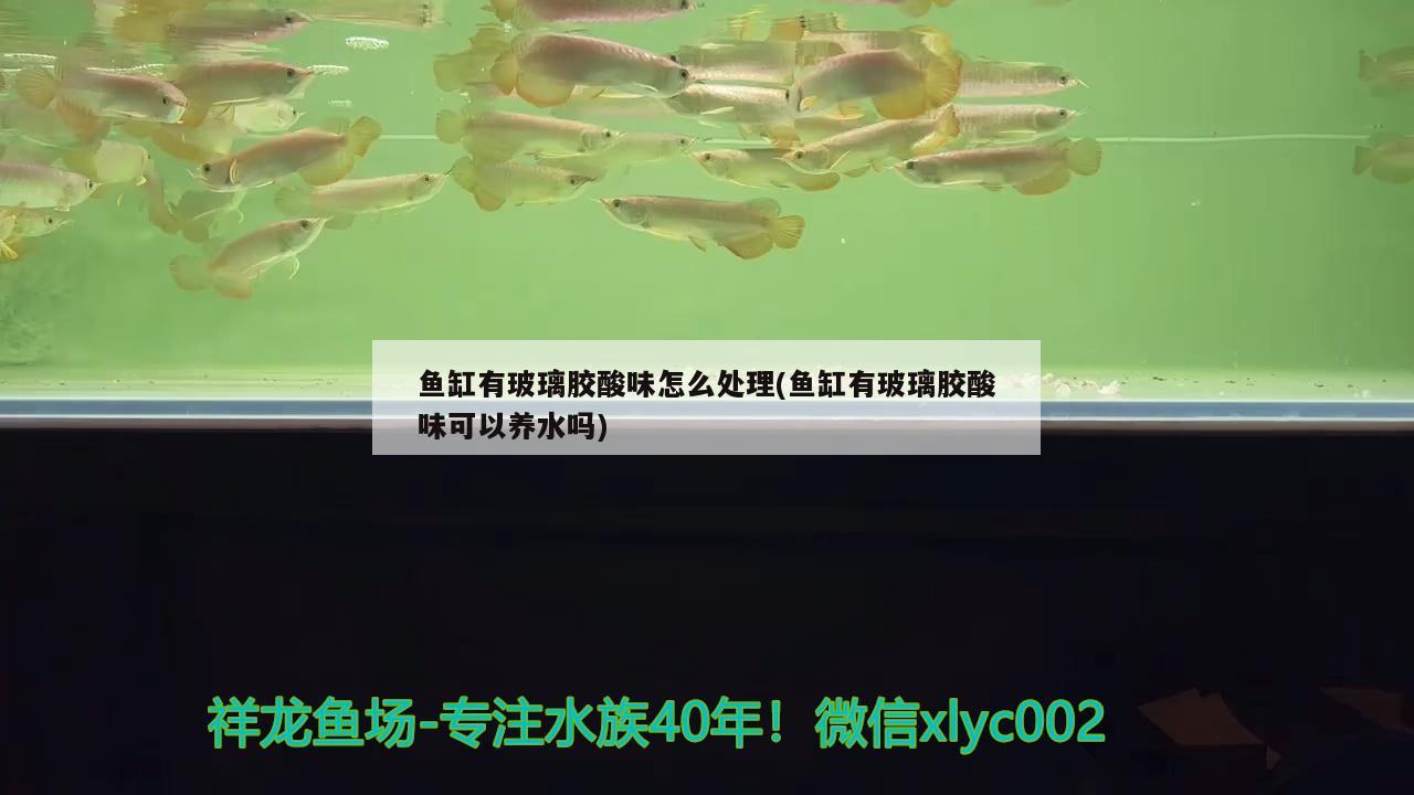 魚缸有玻璃膠酸味怎么處理(魚缸有玻璃膠酸味可以養(yǎng)水嗎)