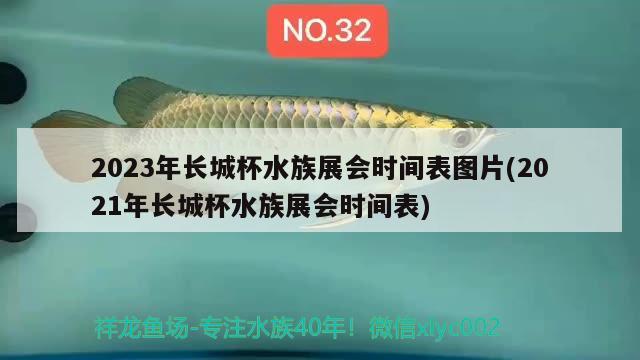 2023年長(zhǎng)城杯水族展會(huì)時(shí)間表圖片(2021年長(zhǎng)城杯水族展會(huì)時(shí)間表)