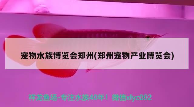 寵物水族博覽會鄭州(鄭州寵物產(chǎn)業(yè)博覽會) 2025第29屆中國國際寵物水族展覽會CIPS（長城寵物展2025 CIPS）