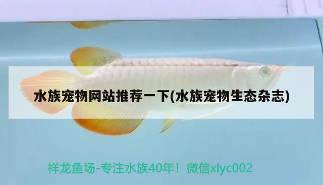 水族寵物網(wǎng)站推薦一下(水族寵物生態(tài)雜志)