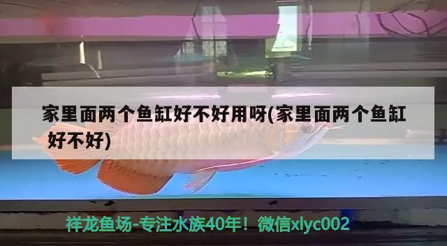 家里面兩個(gè)魚(yú)缸好不好用呀(家里面兩個(gè)魚(yú)缸好不好)