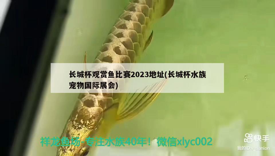 長城杯觀賞魚比賽2023地址(長城杯水族寵物國際展會) 2025第29屆中國國際寵物水族展覽會CIPS（長城寵物展2025 CIPS）