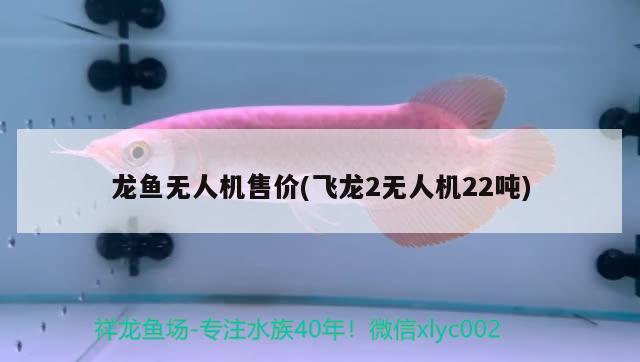 龍魚無人機售價(飛龍2無人機22噸) 2024第28屆中國國際寵物水族展覽會CIPS（長城寵物展2024 CIPS）