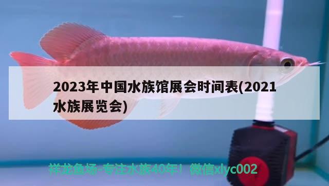 2023年中國(guó)水族館展會(huì)時(shí)間表(2021水族展覽會(huì))