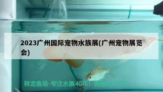 2023廣州國(guó)際寵物水族展(廣州寵物展覽會(huì))