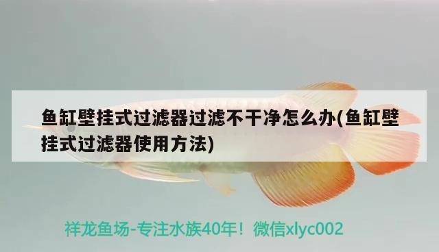 魚缸壁掛式過濾器過濾不干凈怎么辦(魚缸壁掛式過濾器使用方法) PH調(diào)節(jié)劑