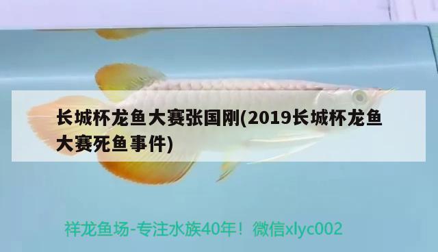 長城杯龍魚大賽張國剛(2019長城杯龍魚大賽死魚事件)