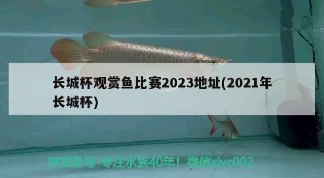 長城杯觀賞魚比賽2023地址(2021年長城杯)