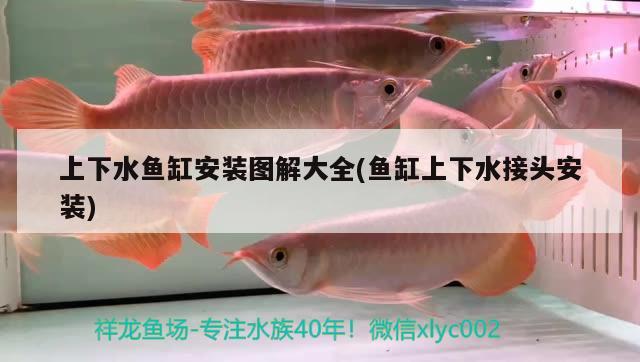 上下水魚缸安裝圖解大全(魚缸上下水接頭安裝)