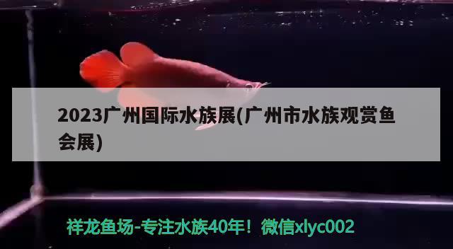 2023廣州國際水族展(廣州市水族觀賞魚會展)