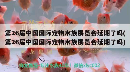 第26屆中國國際寵物水族展覽會延期了嗎(第26屆中國國際寵物水族展覽會延期了嗎)