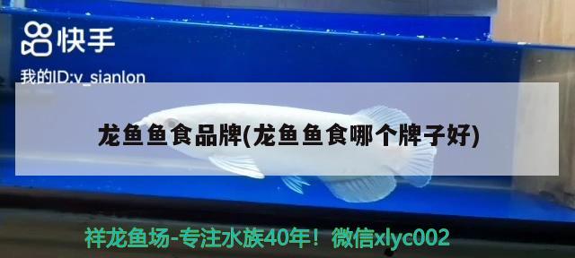 龍魚(yú)魚(yú)食品牌(龍魚(yú)魚(yú)食哪個(gè)牌子好)