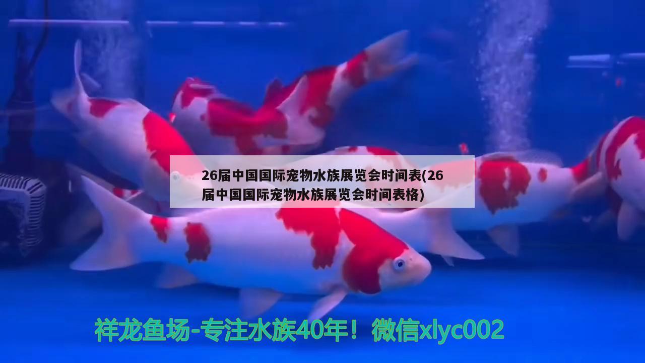 26屆中國(guó)國(guó)際寵物水族展覽會(huì)時(shí)間表(26屆中國(guó)國(guó)際寵物水族展覽會(huì)時(shí)間表格)