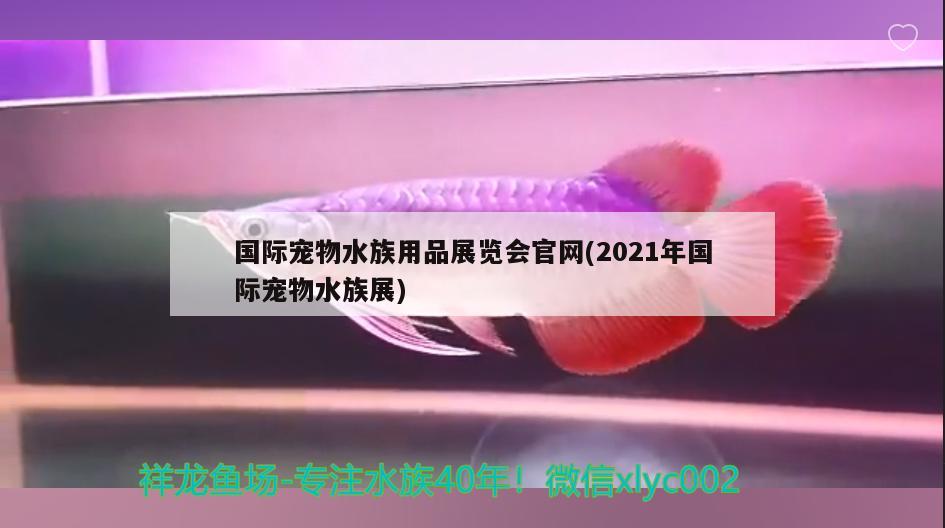 國際寵物水族用品展覽會官網(wǎng)(2021年國際寵物水族展)