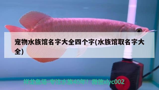 寵物水族館名字大全四個(gè)字(水族館取名字大全) 2025第29屆中國國際寵物水族展覽會CIPS（長城寵物展2025 CIPS）