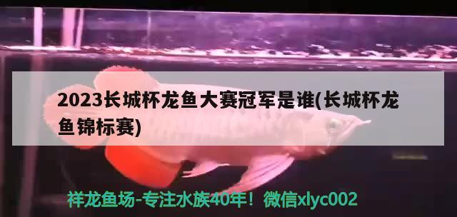 2023長城杯龍魚大賽冠軍是誰(長城杯龍魚錦標賽) 2024第28屆中國國際寵物水族展覽會CIPS（長城寵物展2024 CIPS）