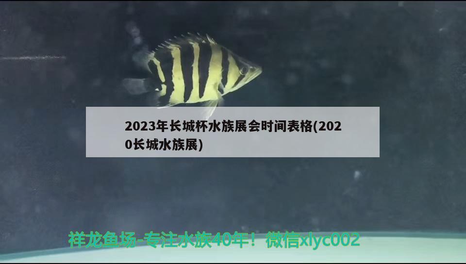 2023年長城杯水族展會時間表格(2020長城水族展) 水族展會