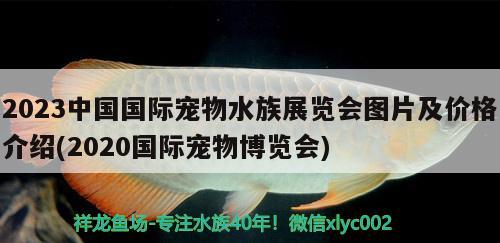 2023中國(guó)國(guó)際寵物水族展覽會(huì)圖片及價(jià)格介紹(2020國(guó)際寵物博覽會(huì))