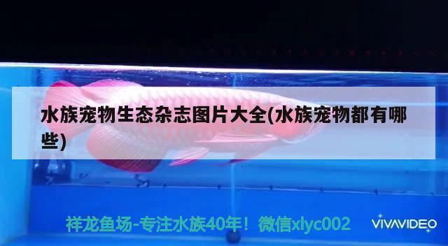 水族寵物生態(tài)雜志圖片大全(水族寵物都有哪些) 2024第28屆中國國際寵物水族展覽會(huì)CIPS（長城寵物展2024 CIPS）