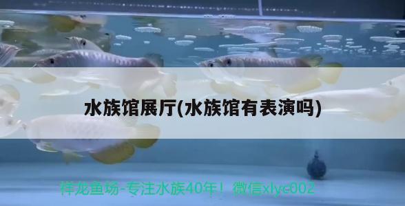 水族館展廳(水族館有表演嗎) 2024第28屆中國國際寵物水族展覽會CIPS（長城寵物展2024 CIPS）