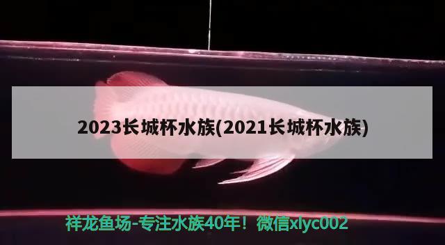 2023長(zhǎng)城杯水族(2021長(zhǎng)城杯水族) 2024第28屆中國(guó)國(guó)際寵物水族展覽會(huì)CIPS（長(zhǎng)城寵物展2024 CIPS）