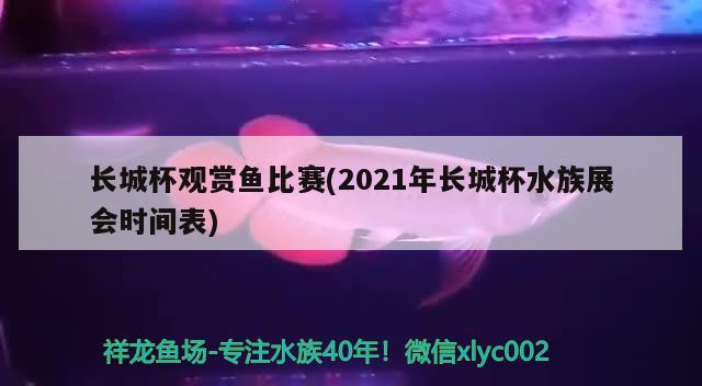 長城杯觀賞魚比賽(2021年長城杯水族展會時間表)