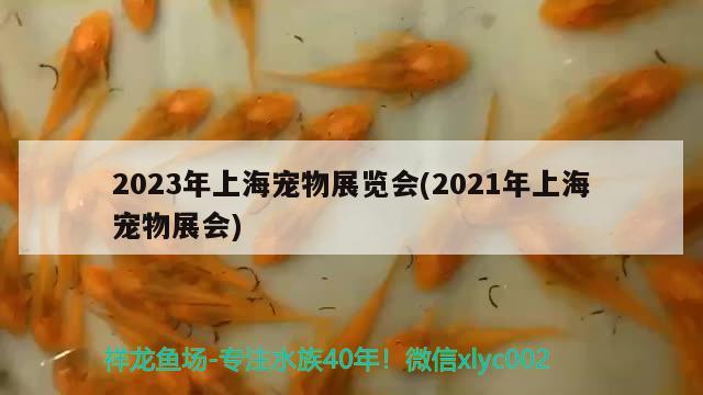 2023年上海寵物展覽會(2021年上海寵物展會)