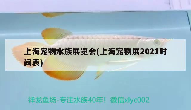 上海寵物水族展覽會(上海寵物展2021時間表)