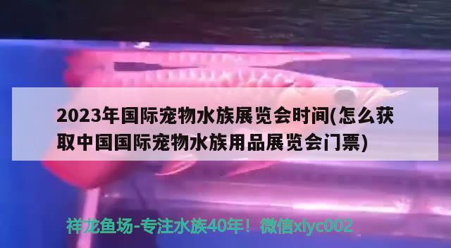 2023年國際寵物水族展覽會時間(怎么獲取中國國際寵物水族用品展覽會門票)