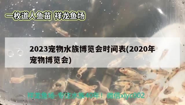 2023寵物水族博覽會時間表(2020年寵物博覽會) 2024第28屆中國國際寵物水族展覽會CIPS（長城寵物展2024 CIPS）