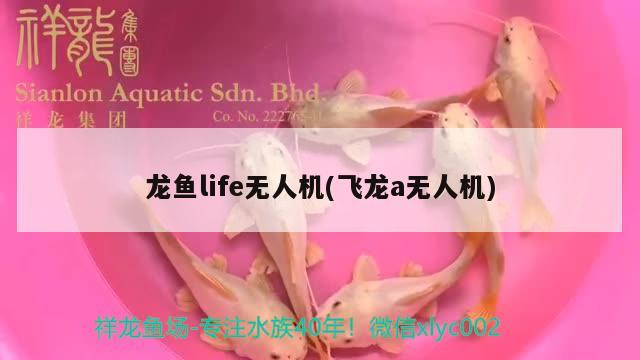 龍魚(yú)life無(wú)人機(jī)(飛龍a無(wú)人機(jī))