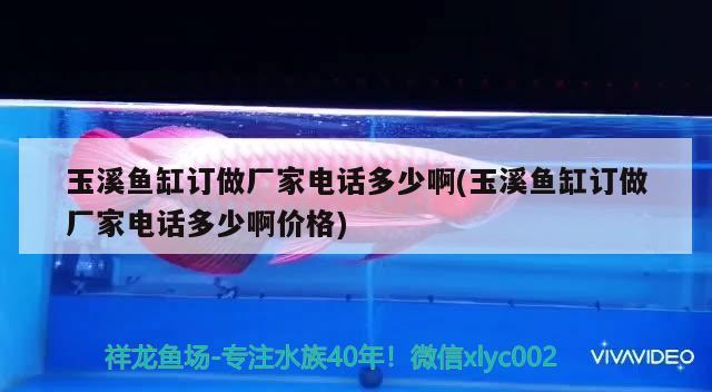 玉溪魚(yú)缸訂做廠家電話(huà)多少啊(玉溪魚(yú)缸訂做廠家電話(huà)多少啊價(jià)格) 大湖紅龍魚(yú)