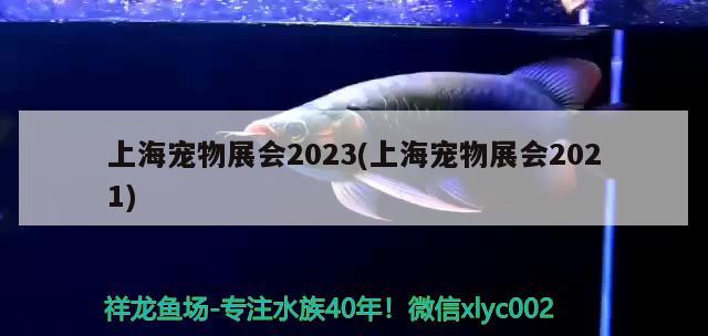 上海寵物展會(huì)2023(上海寵物展會(huì)2021)