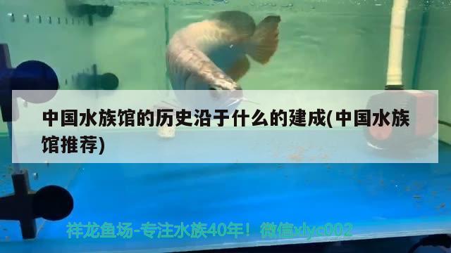 中國水族館的歷史沿于什么的建成(中國水族館推薦)