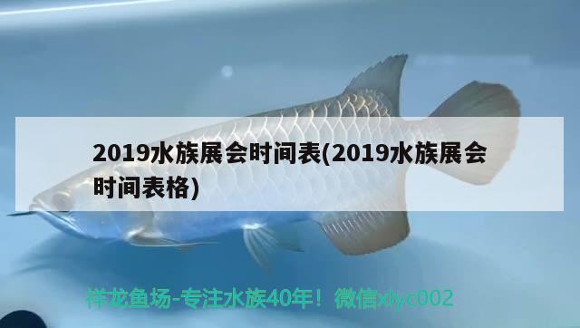 2019水族展會(huì)時(shí)間表(2019水族展會(huì)時(shí)間表格)