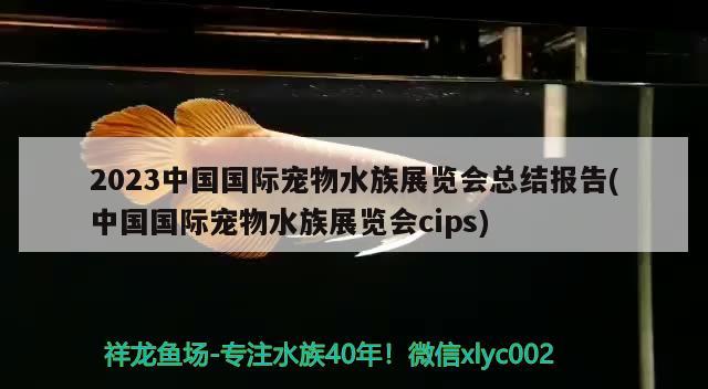 2023中國(guó)國(guó)際寵物水族展覽會(huì)總結(jié)報(bào)告(中國(guó)國(guó)際寵物水族展覽會(huì)cips) 水族展會(huì)