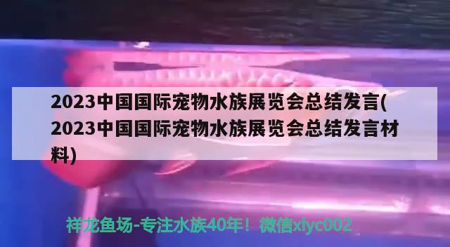 2023中國(guó)國(guó)際寵物水族展覽會(huì)總結(jié)發(fā)言(2023中國(guó)國(guó)際寵物水族展覽會(huì)總結(jié)發(fā)言材料)