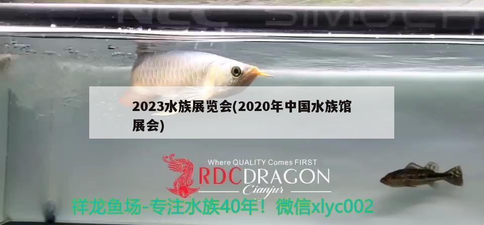 2023水族展覽會(huì)(2020年中國(guó)水族館展會(huì)) 水族展會(huì)