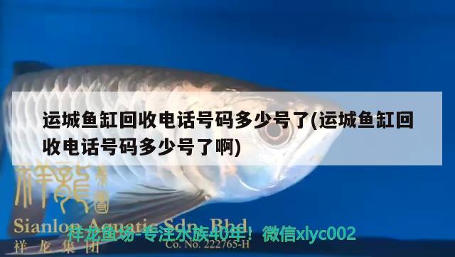 運(yùn)城魚缸回收電話號(hào)碼多少號(hào)了(運(yùn)城魚缸回收電話號(hào)碼多少號(hào)了啊)