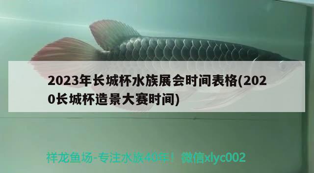 2023年長城杯水族展會時(shí)間表格(2020長城杯造景大賽時(shí)間)