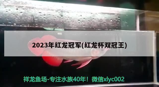 2023年紅龍冠軍(紅龍杯雙冠王)