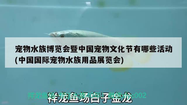 寵物水族博覽會暨中國寵物文化節(jié)有哪些活動(中國國際寵物水族用品展覽會) 水族用品