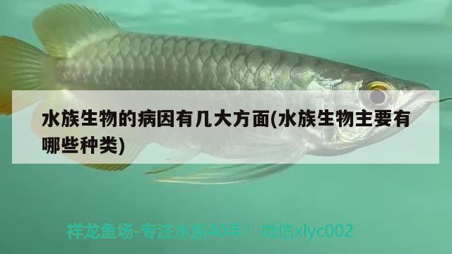 水族生物的病因有幾大方面(水族生物主要有哪些種類)