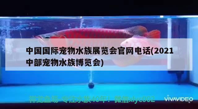 中國國際寵物水族展覽會官網(wǎng)電話(2021中部寵物水族博覽會) 水族展會