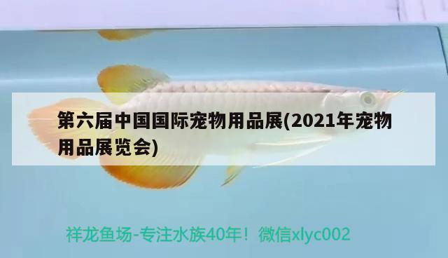 第六屆中國(guó)國(guó)際寵物用品展(2021年寵物用品展覽會(huì))