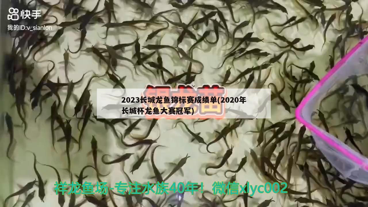 2023長城龍魚錦標賽成績單(2020年長城杯龍魚大賽冠軍)